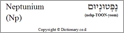 'Neptunium (Np)' in Hebrew